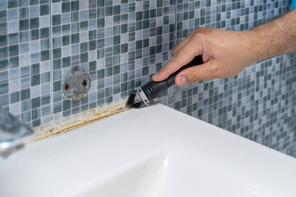 Best Certified Mold Removal  in Cohasset, MN